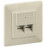 RJ45 STP6 2x2 розетка, внешняя LSA Metal, Standart, бежевый
